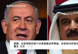 国际比赛日夏洛特黄蜂迎来里程碑——国王杯节点到来；气氛紧张；球探报告显示潜力(黄蜂进过季后赛吗)